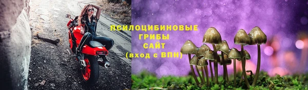 каннабис Новокубанск