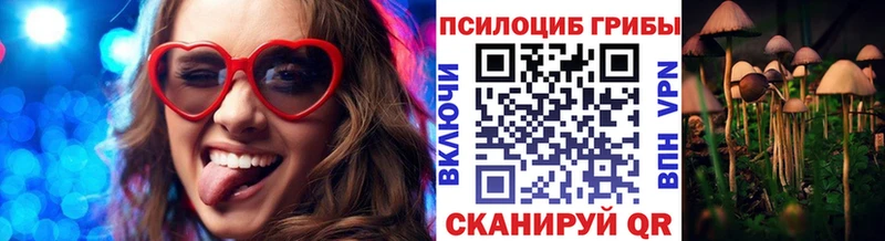 продажа наркотиков  Курчалой  OMG онион  Галлюциногенные грибы прущие грибы 
