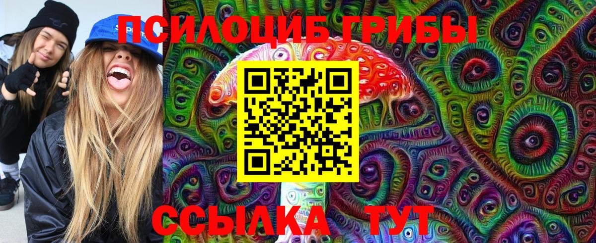 Псилоцибиновые грибы мухоморы Курчалой