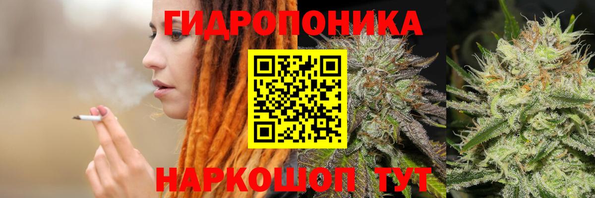 Бошки марихуана ГИДРОПОН  Вход с VPN  Курчалой  МАРИХУАНА ГИДРОПОН  Канабис SATIVA & INDICA 